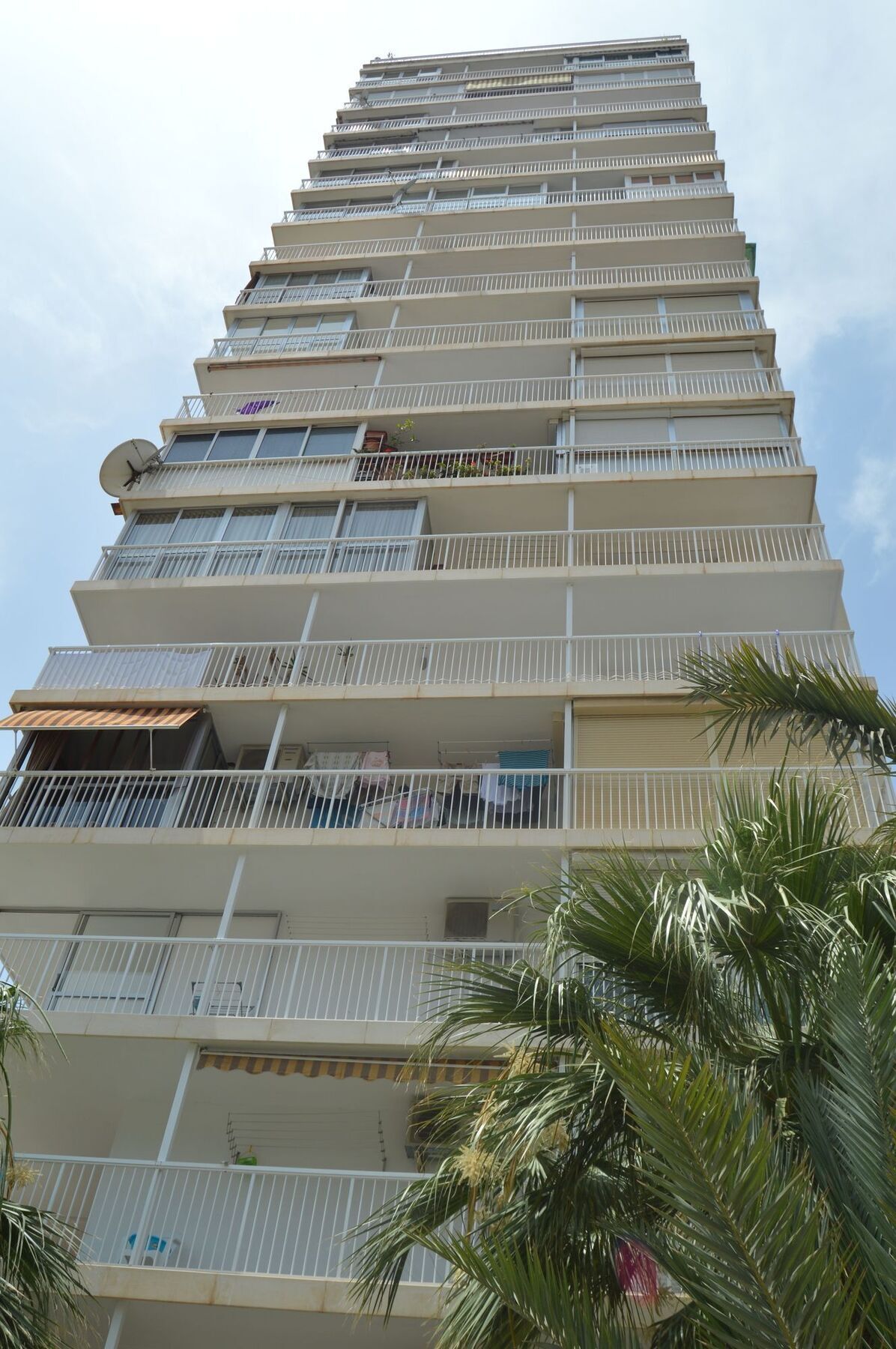 Appartement Albatros *
